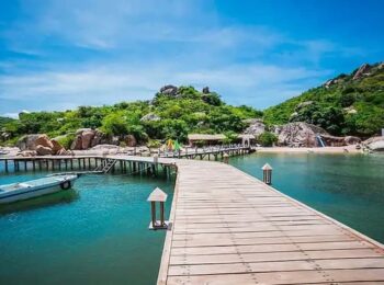 Tour Binh Lap Binh Hung 1 1 C7e76734 D2e5 4773 A0d5 82909650cab7