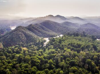 Nam,cat,tien,national,park,view,from,above,,dong,nai,