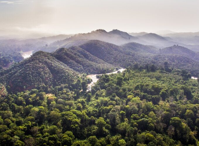 Nam,cat,tien,national,park,view,from,above,,dong,nai,