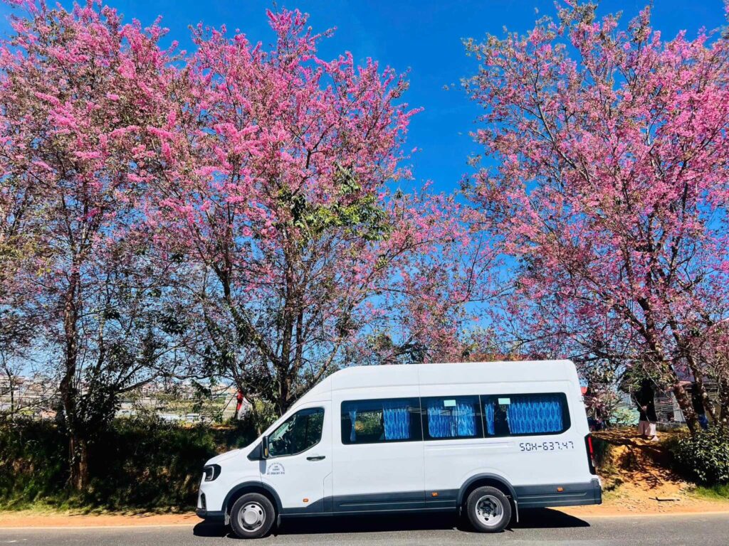 Dịch vụ thuê xe 18 chỗ đi Hạ Long chuyên nghiệp