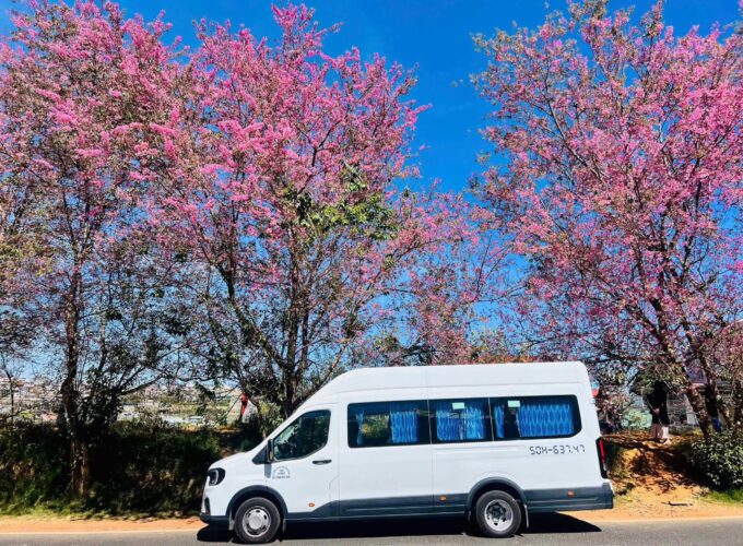 Thuê xe ford transti 18 chỗ