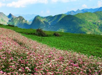 Cao nguyên đá đồng văn
