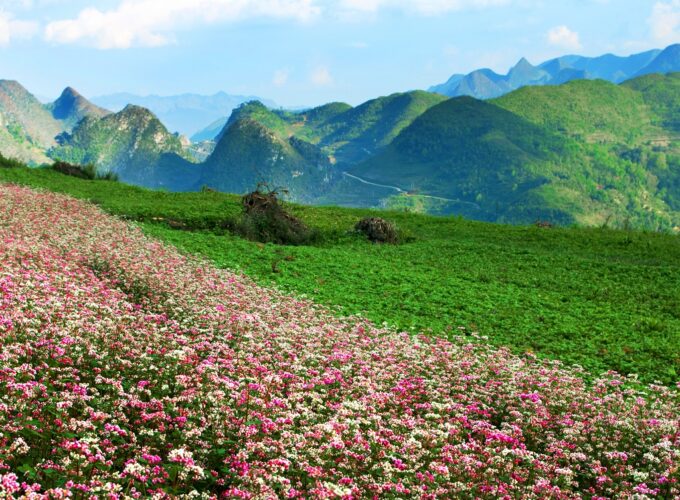 Cao nguyên đá đồng văn